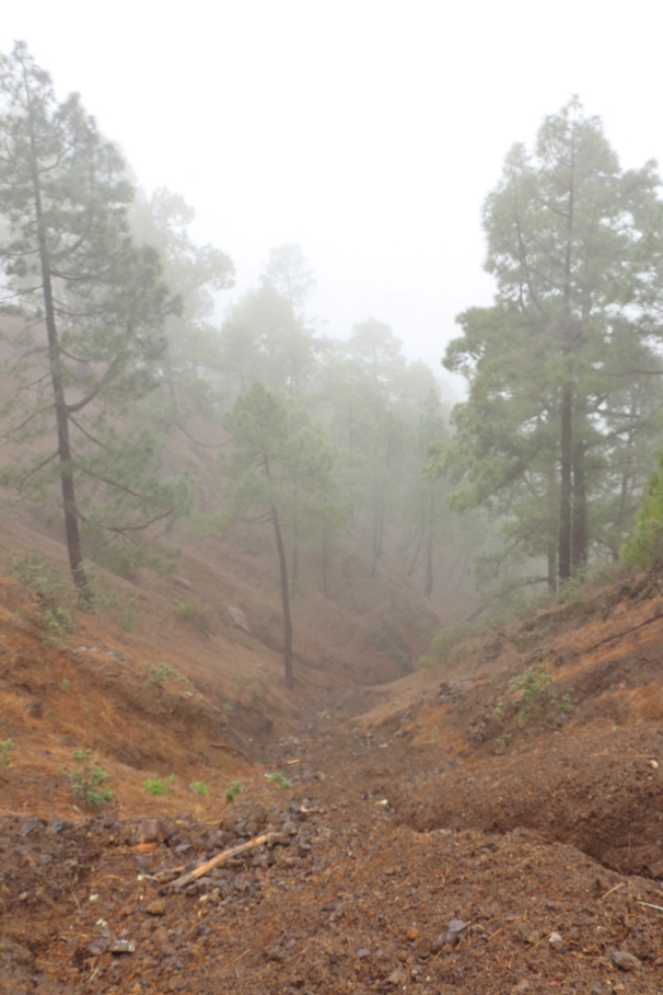 Misty View, Mirador de La Cumbrecita, La Caldera de Taburiente National Park, La Palma, Canary Islands